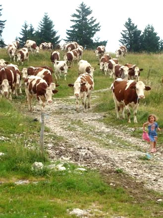 gite à la ferme dans le haut jura